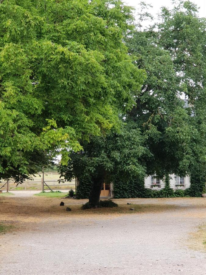 La Tilia Panzió Saint-Riquier Kültér fotó